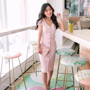 Express Soft Pink Button Down Dress
